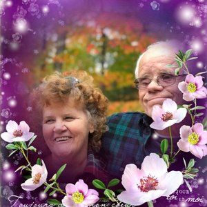 Meet your Posher, Sandy